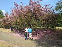 IMG_0297.JPG